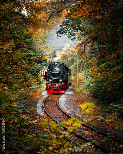 Historic Harz Narrow Gauge Steam Train 