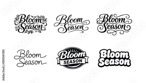 Bloom Lettering Variations. Bloom Season. Set lettering. harmonious lettering variations of the same emblematic concept, each with different artistic