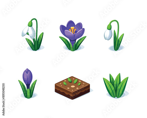 Snowdrop & Crocus Icons. Snowdrop & Crocus Icons. Isometric flat vector icons set of Snowdrop & Crocus Icons: snowdrop flower bloom, crocus flower bloom,