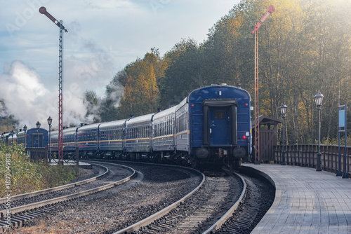 Steam retro trains stand by the platforms.
