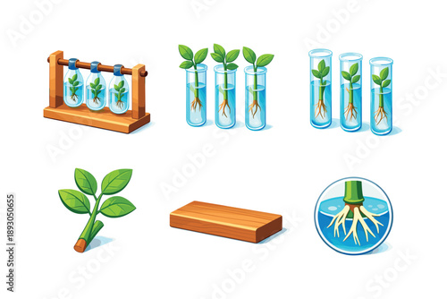 Plant Propagation Icons. Plant Propagation. Isometric flat vector icons set of plant propagation: glass propagation station frame, test tube plant cuttings,