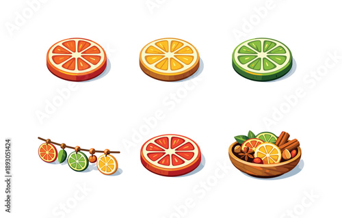 Citrus Botanical Decor. Botanical Decor. Isometric flat vector icons set of botanical decor: dried orange slice decor, dried lemon ring, dried lime ring, dried