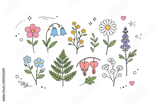 Pressed Floral Elegance. Pressed flowers collection. Delicate pressed flowers arranged neatly, showing natural beauty and careful preservation. Calm botanical