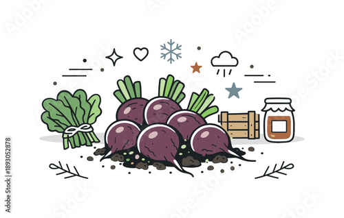 Beetroot Harvest Scene. Beetroot harvest concept. Beetroots gathered together with soil hints and trimmed greens, shown as winter produce. Honest