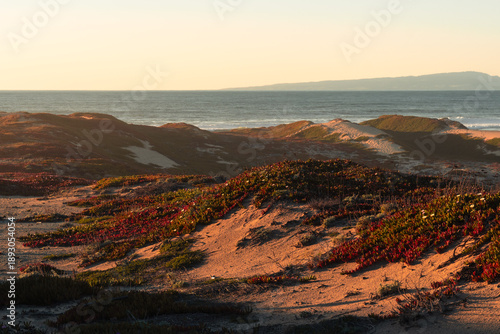 California coastal hills at golden hour in California