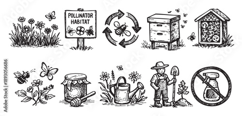 Hand-drawn icons illustrate creating pollinator habitats, beekeeping, and avoiding pesticides, ideal for educational or conservation-themed designs and illustrating environmental articles.