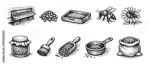 Adobe Illustrator Artwork