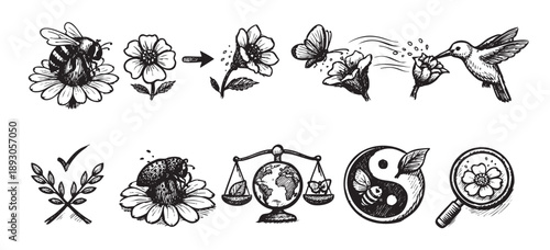 Vector illustration of ecology symbols in a hand drawn style, depicting pollination processes, balancing earth and nature concepts in black and white.