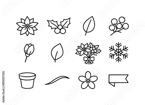 December Floral Icons. December birth flowers. Line icon set of december birth flowers: poinsettia, holly sprig, leaf, berry cluster, bud, petal outline,