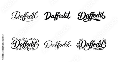 Daffodil Lettering Variations. Daffodil brush script lettering. Set lettering. harmonious lettering variations of the same emblematic concept, each with