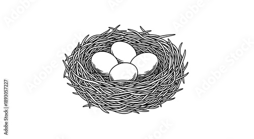 Black and white line drawing of a bird nest with three eggs