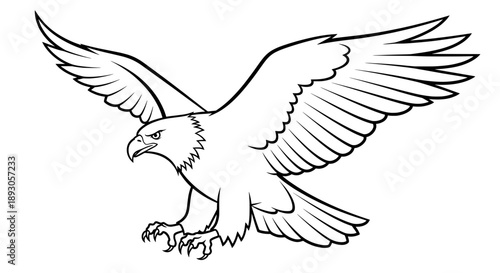 Black and white eagle in flight with wings spread wide