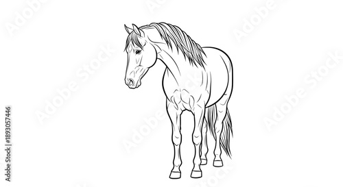 Black and white line drawing of a horse standing facing left