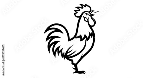 Black and white line drawing of a rooster singing with spread tail feathers