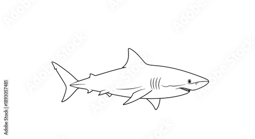 Black outline shark swimming sideways with sharp teeth visible