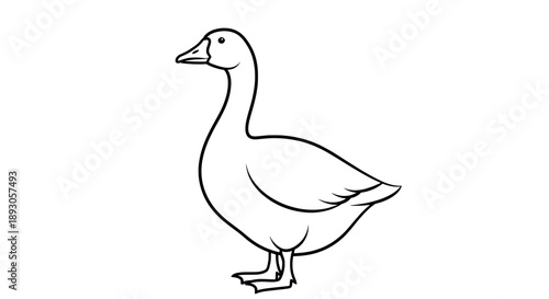 Minimalist black white line drawing goose standing left facing