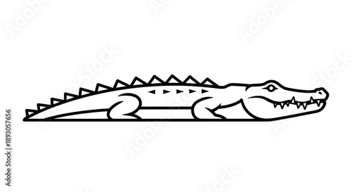 Green alligator side view with open mouth showing sharp teeth