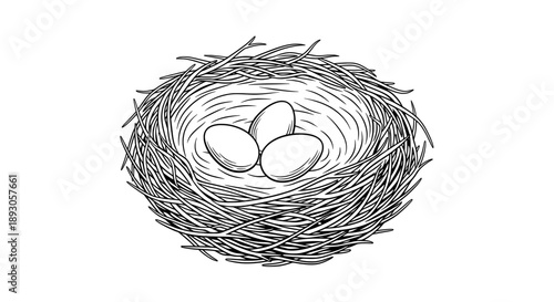 Minimalist black and white line drawing of bird nest with two eggs