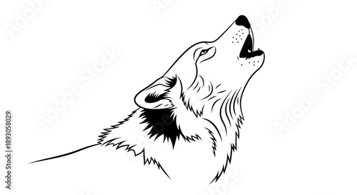 Black and white realistic wolf howling with detailed fur shading