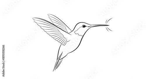 Black and white line drawing of hummingbird in mid flight
