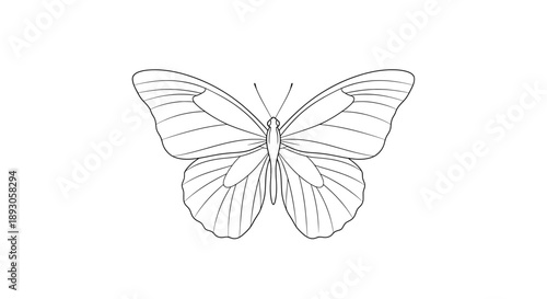 Minimalist black outline butterfly with symmetrical wings on white