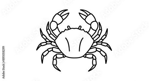 Black and white line drawing of crab facing right with outlined body