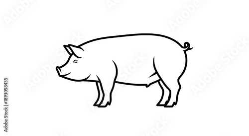 Minimalist black and white line drawing of standing pig