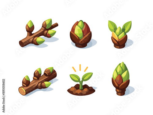 Tree Buds Icons. Tree buds. Isometric flat vector icons set of Tree buds: orchard tree bud branch, fruit tree bud close-up, bud with first leaf tips, woody