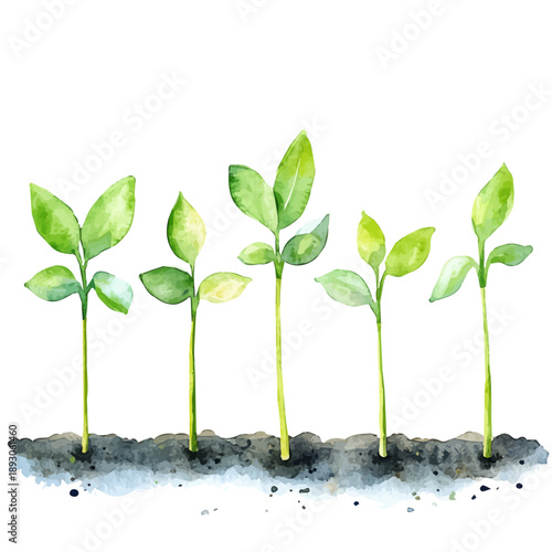 Little Green Sprouts, charming watercolor clipart, isolated on a white background.