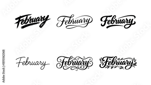 February Lettering Variations. Modern brush script February. Set lettering. harmonious lettering variations of the same emblematic concept, each with different