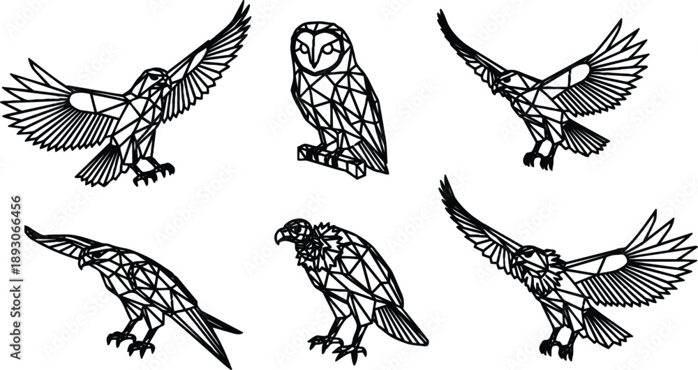 Fototapeta premium Geometric low poly line art birds set six poses flying perched landing talons spread wings detailed vector polygonal owl eagle hawk raven minimal black white contour