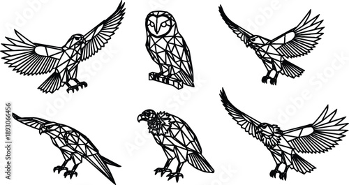 Geometric low poly line art birds set six poses flying perched landing talons spread wings detailed vector polygonal owl eagle hawk raven minimal black white contour