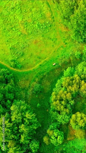 Aerial Drone View of Lush Green Public Park with Trees and Grass in Summer Sunlight