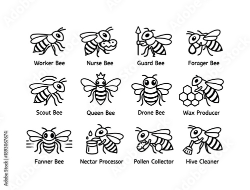 Bee Role Icons. How bees make honey. Line icon set of bee roles: worker bee, nurse bee, guard bee, forager bee, scout bee, queen bee outline, drone bee, wax