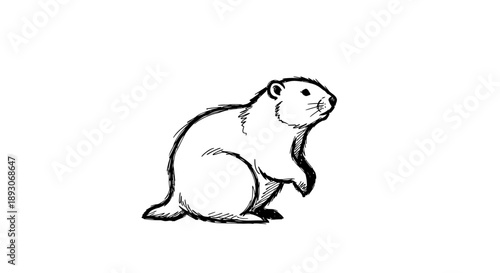 Simple Black and White Groundhog Illustration.