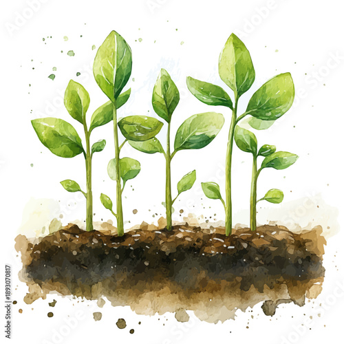 Freshly Sprouted Seedlings, cute watercolor illustration with intricate patterns and vibrant splashes, isolated on a white background.