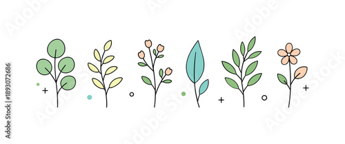Minimal Botanical Collection. Botanical elements minimal collection. A small set of leaves and stems aligned in a tidy row, gentle color accents and clean