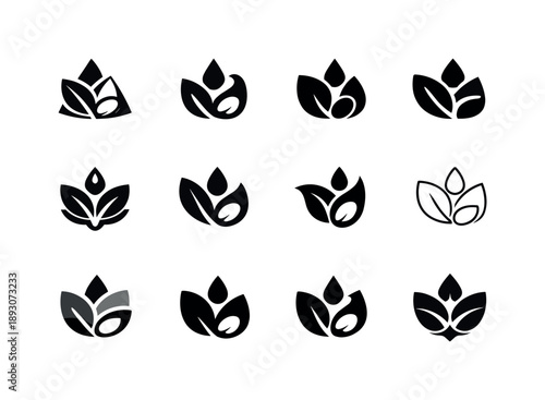Raw Food Icon Set. Raw. Icon set. Set Logo of Raw: raw food ingredient shape. harmonious logo variations of the same emblematic concept, each with different