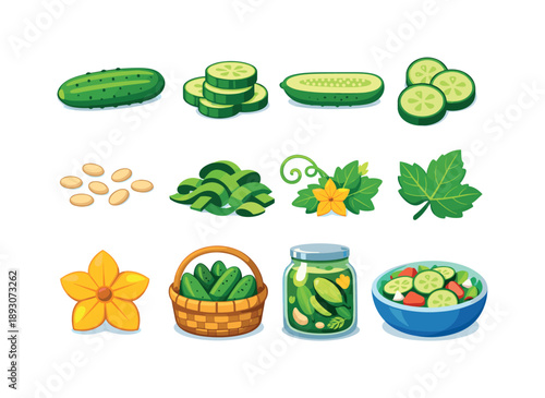 Cucumber Icon Collection. Cucumbers. Colorful flat vector icons set of Cucumbers: whole cucumber, sliced cucumber, cucumber rounds, cucumber half, cucumber