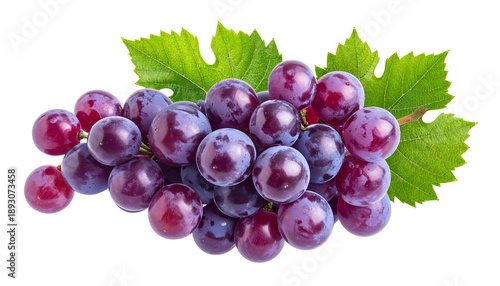 A close-up shot of a cluster of ripe purple grapes, with vibrant green leaves, against a stark black background