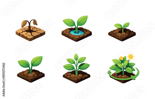 Eco Plant Growth Cycle. EcoCycle. Isometric flat vector icons set of eco cycle: dry soil plant, rehydrated soil plant, sprouting plant, leafy young plant,