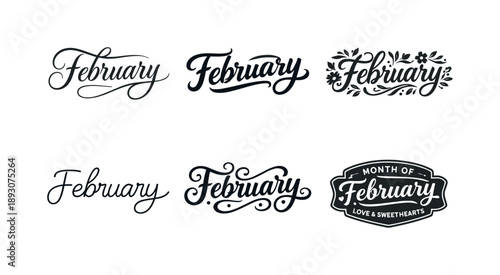 February Lettering Styles. February month palette lettering. Set lettering. harmonious lettering variations of the same emblematic concept, each with different