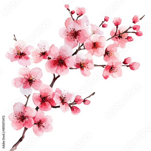 Cherry Blossoms In Full Bloom, playful watercolor vector depicting lively antics and expressive gestures, isolated on a white background.