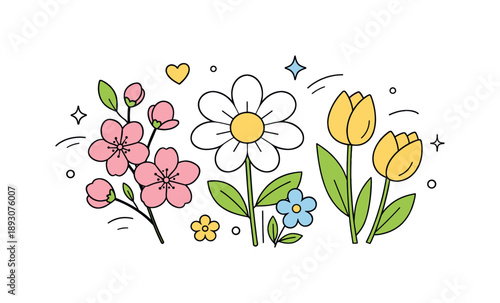 Spring Blossoms Illustration. Spring blossoms and flowers illustration. Delicate blooming flowers with soft petals and gentle curves, fresh spring mood with