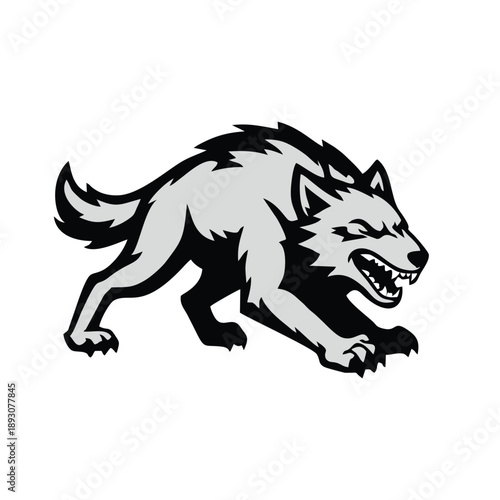 Aggressive Gray Wolf Mascot Snarling Illustration