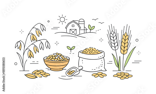 Oats and Barley Harvest Scene. Oats and barley harvest. Grains shown with simple stalks and heads, gentle farm-to-table feeling and natural simplicity. Calm