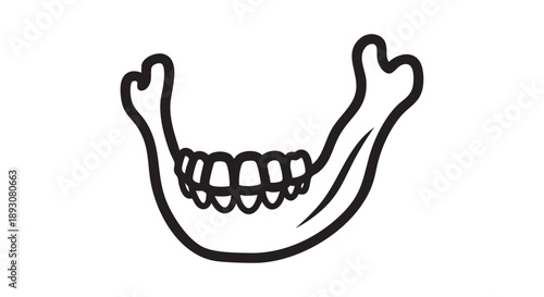 Simple black line drawing of a human jawbone with teeth from a frontal viewpoint