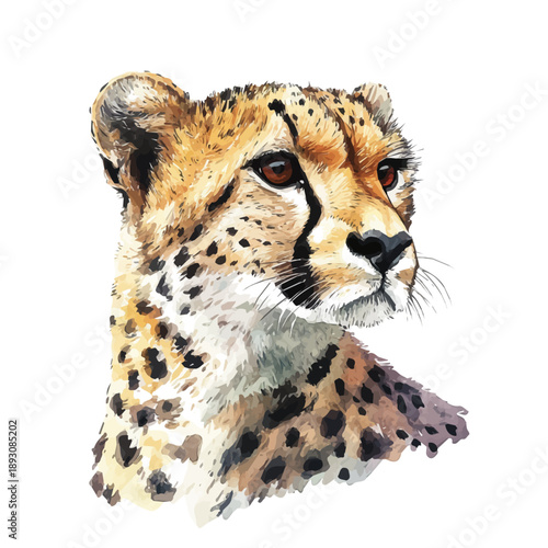 Cheetah, watercolor illustration featuring soft shadows and luminous, isolated on a white background.