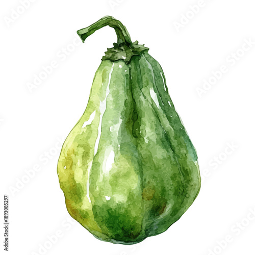 Chayote, watercolor illustration featuring soft shadows and luminous, isolated on a white background.