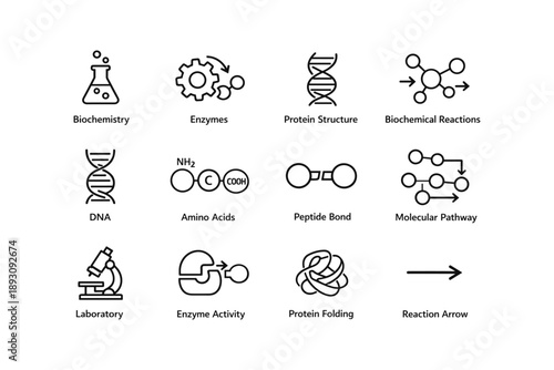 Biochemistry icons: enzymes, dna, molecular pathway, protein structure, laboratory